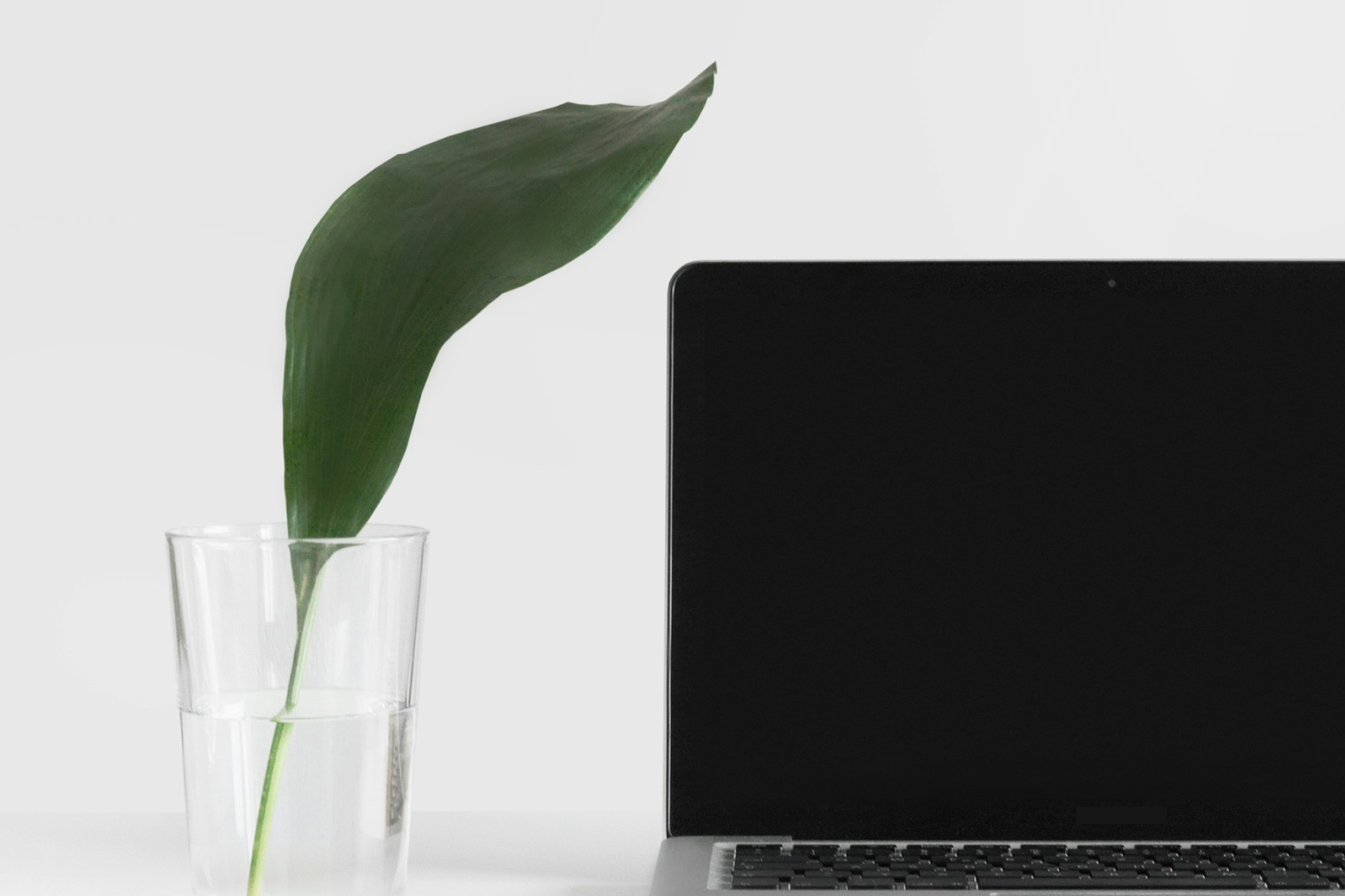 Web design sostenibile per un impatto ambientale ridotto